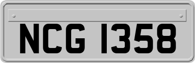 NCG1358