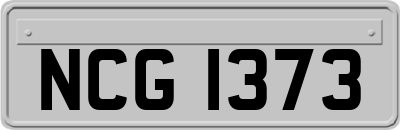 NCG1373