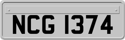 NCG1374