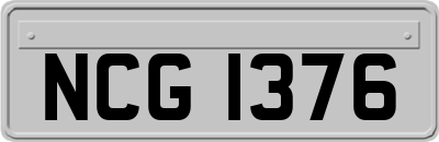 NCG1376