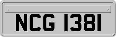NCG1381