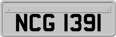 NCG1391