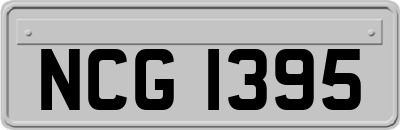 NCG1395