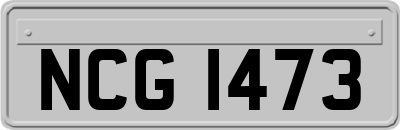 NCG1473