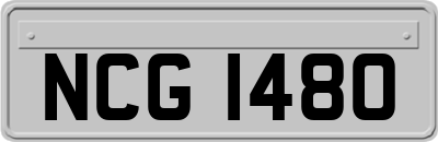 NCG1480