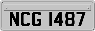 NCG1487