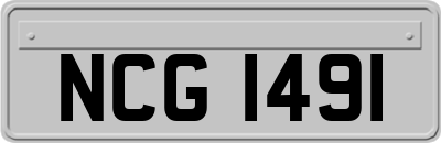 NCG1491