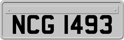 NCG1493