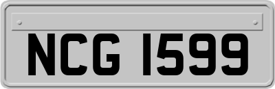 NCG1599