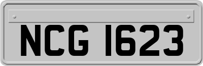 NCG1623