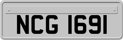 NCG1691