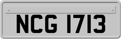NCG1713