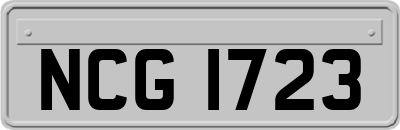 NCG1723