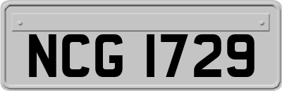 NCG1729