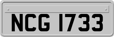 NCG1733