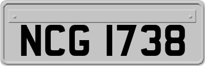 NCG1738