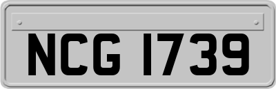 NCG1739