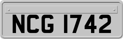 NCG1742