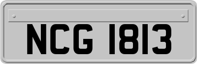 NCG1813