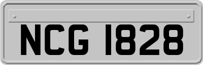 NCG1828