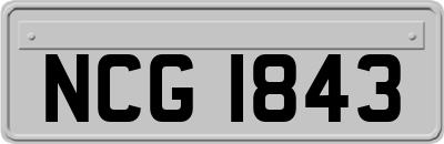 NCG1843
