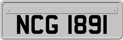 NCG1891