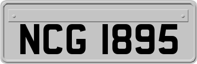 NCG1895