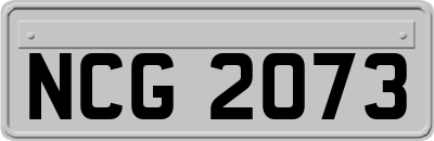 NCG2073