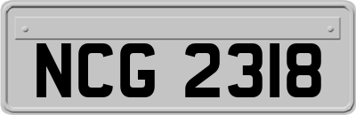 NCG2318