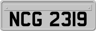 NCG2319
