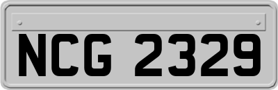 NCG2329