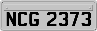 NCG2373