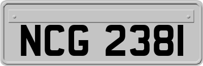 NCG2381