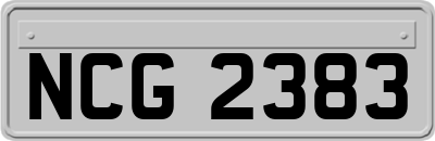 NCG2383