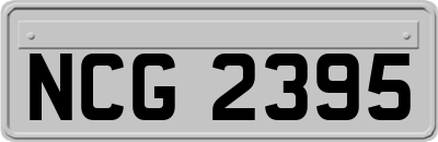 NCG2395