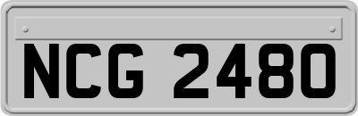 NCG2480