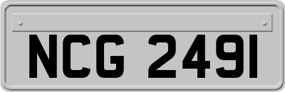 NCG2491