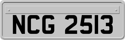 NCG2513