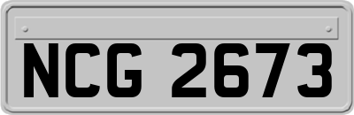NCG2673