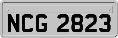 NCG2823