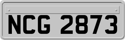 NCG2873