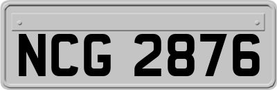 NCG2876