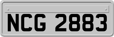 NCG2883