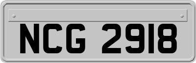NCG2918