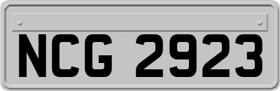 NCG2923