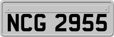 NCG2955