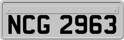 NCG2963