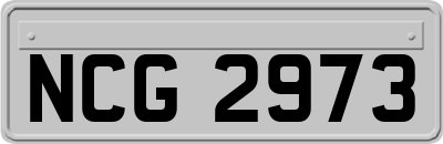 NCG2973