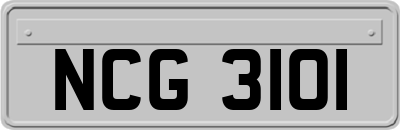 NCG3101