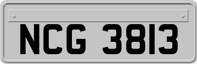 NCG3813